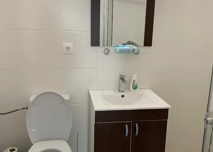 Apartment Luxurious & Cozy Bucharest